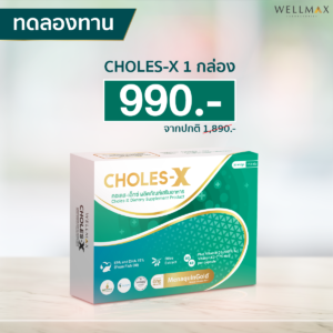 Choles-X (คอเลส-เอ็กซ์) 1 กล่อง